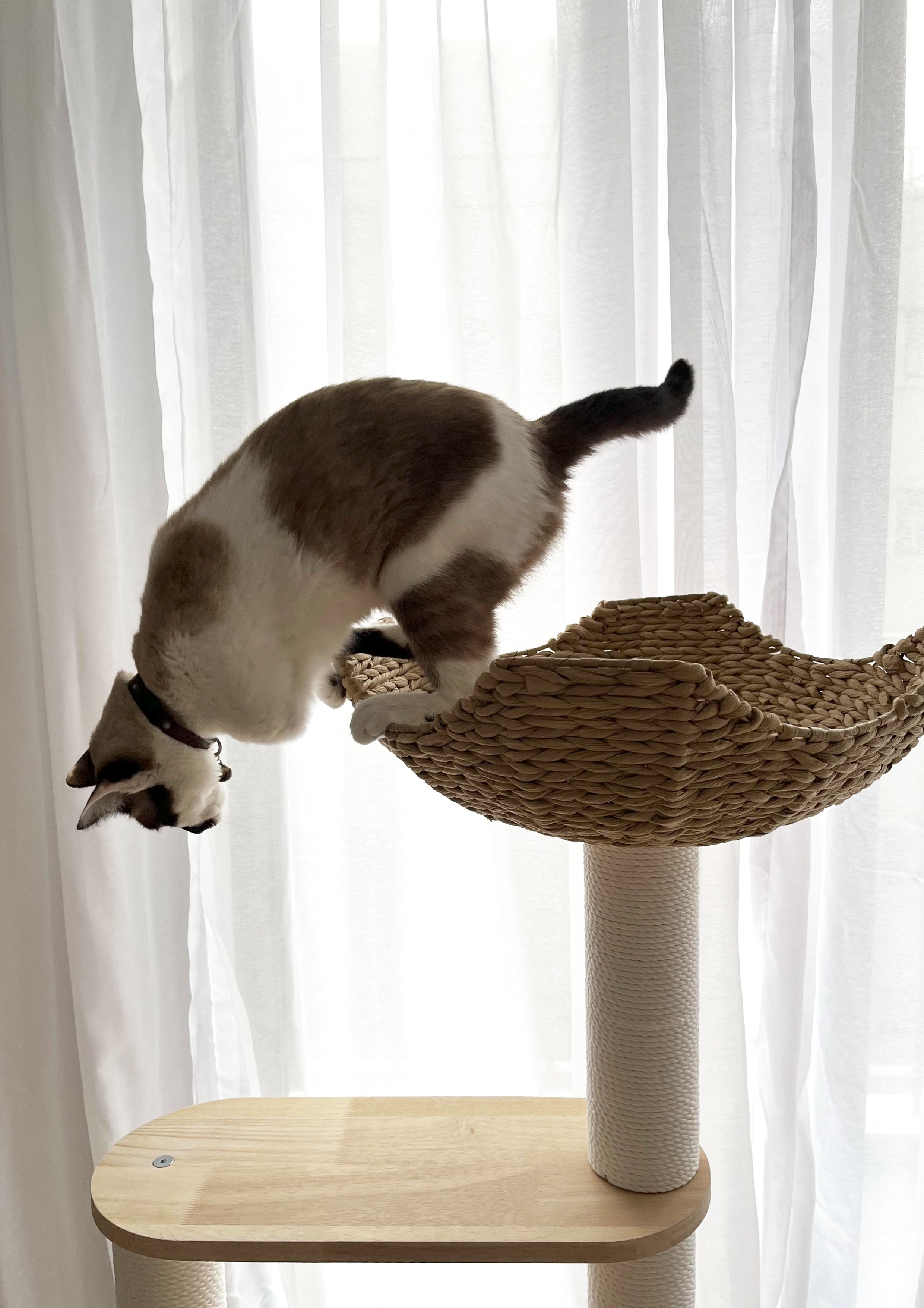 Costaud Cat Tree