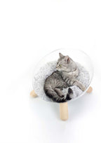Bowl Bed