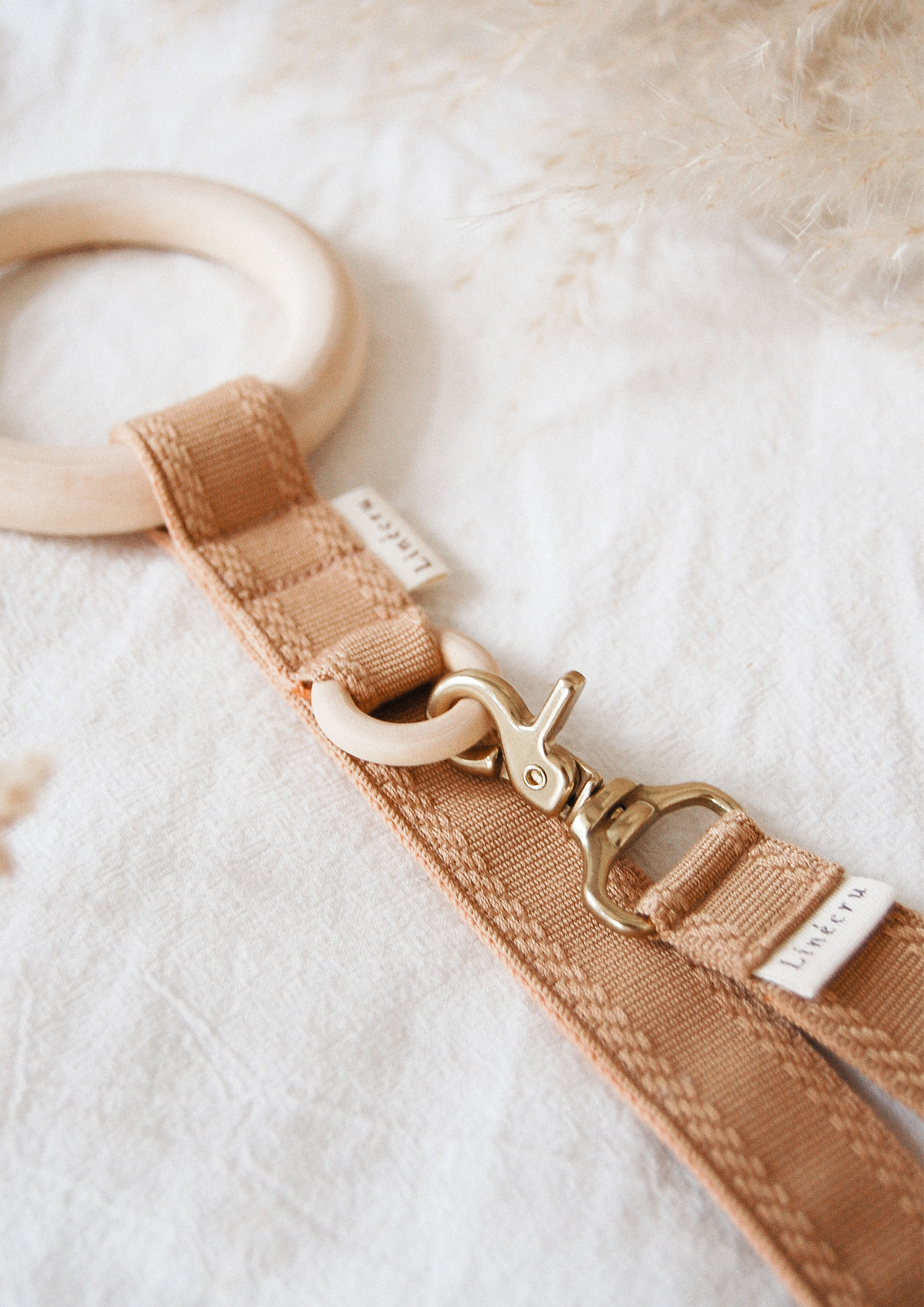 FJOL Multipurpose Leash (Isabella)