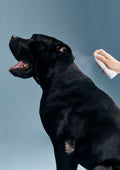 Sense Pet Deodorising Spray