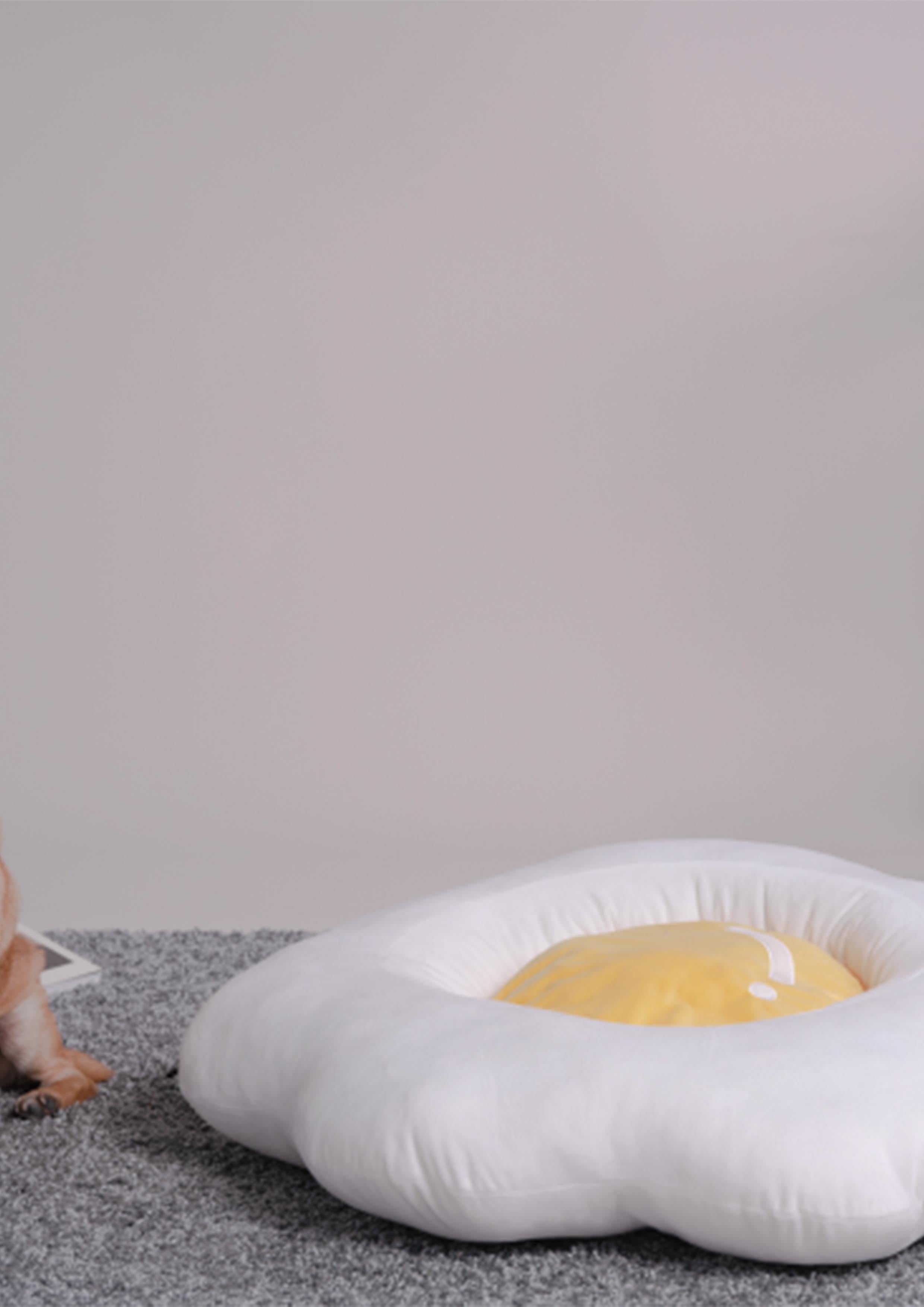 Egg Bed