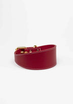 Red Wide Leather Collar