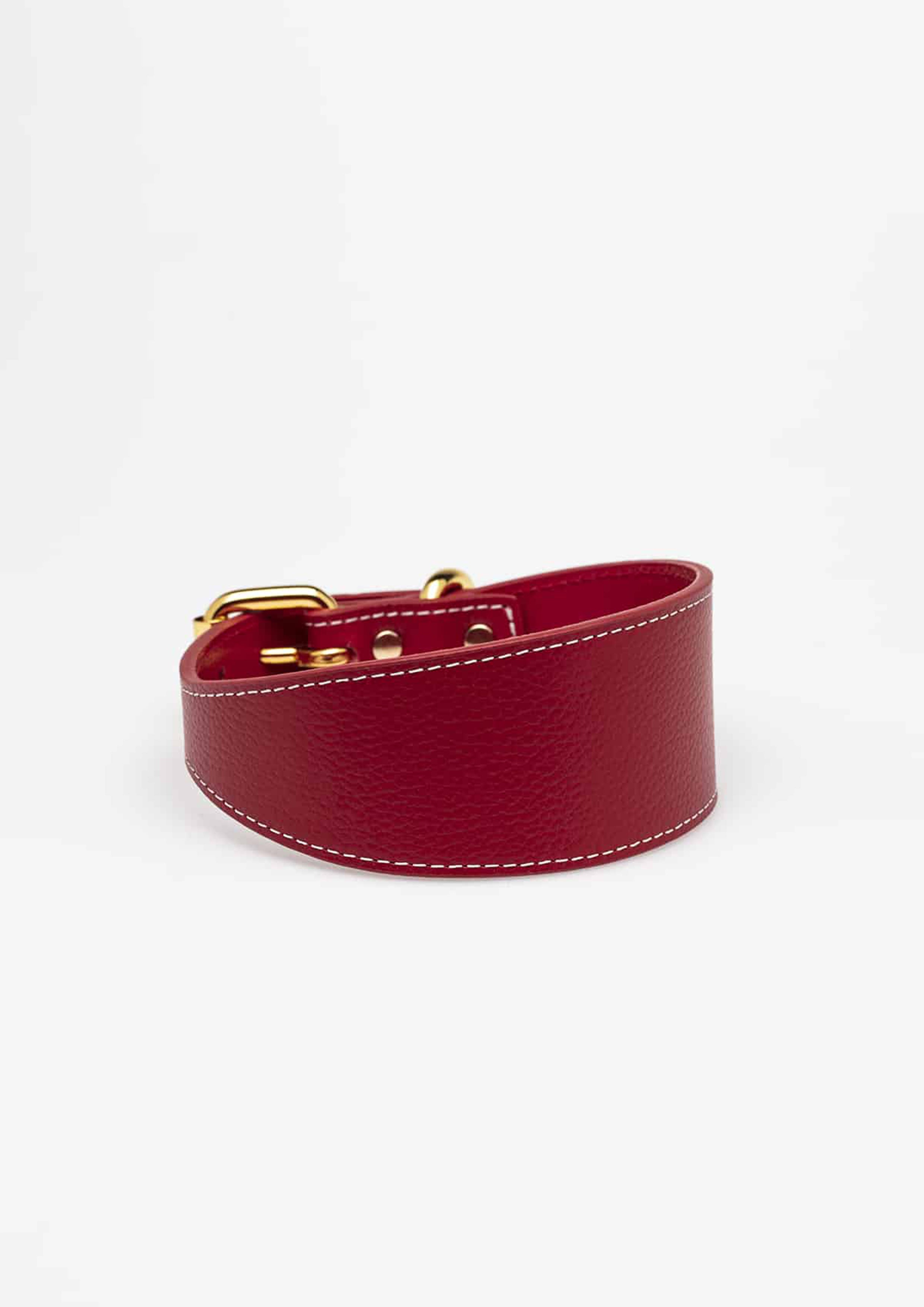 Red Wide Leather Collar