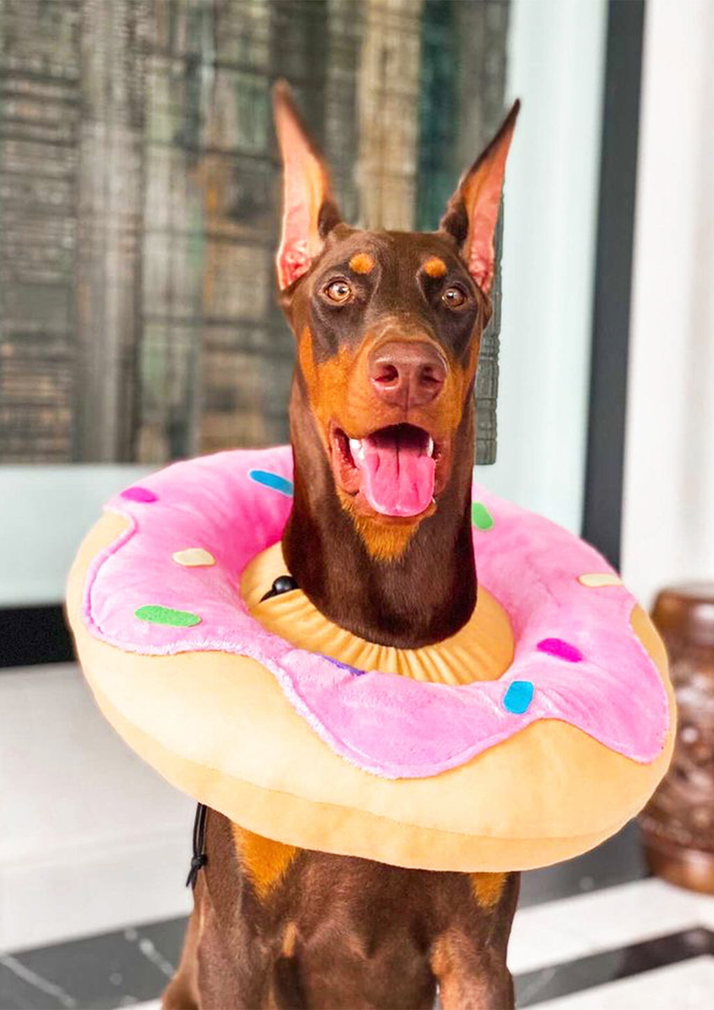 Pink Donut Cone