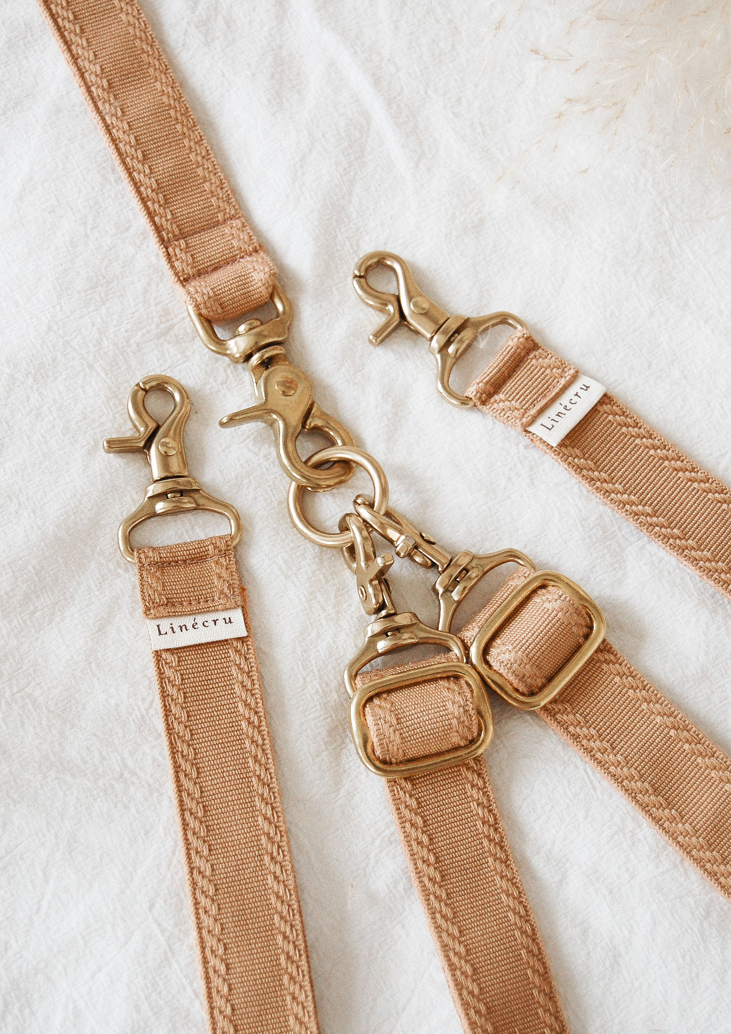 FJOL Multipurpose Leash (Isabella)