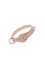Arkika Microfiber Collar