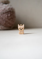 Yorkshire Terrier Prosopa Charm