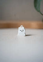 Pomeranian Prosopa Charm