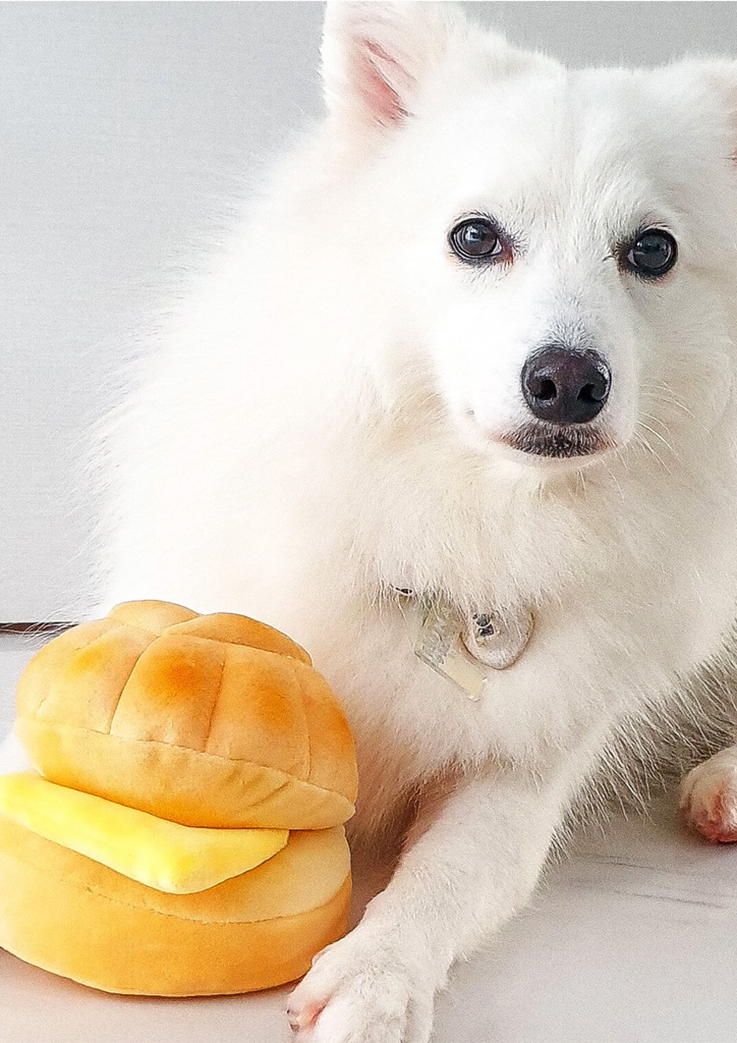 Bolo Bun