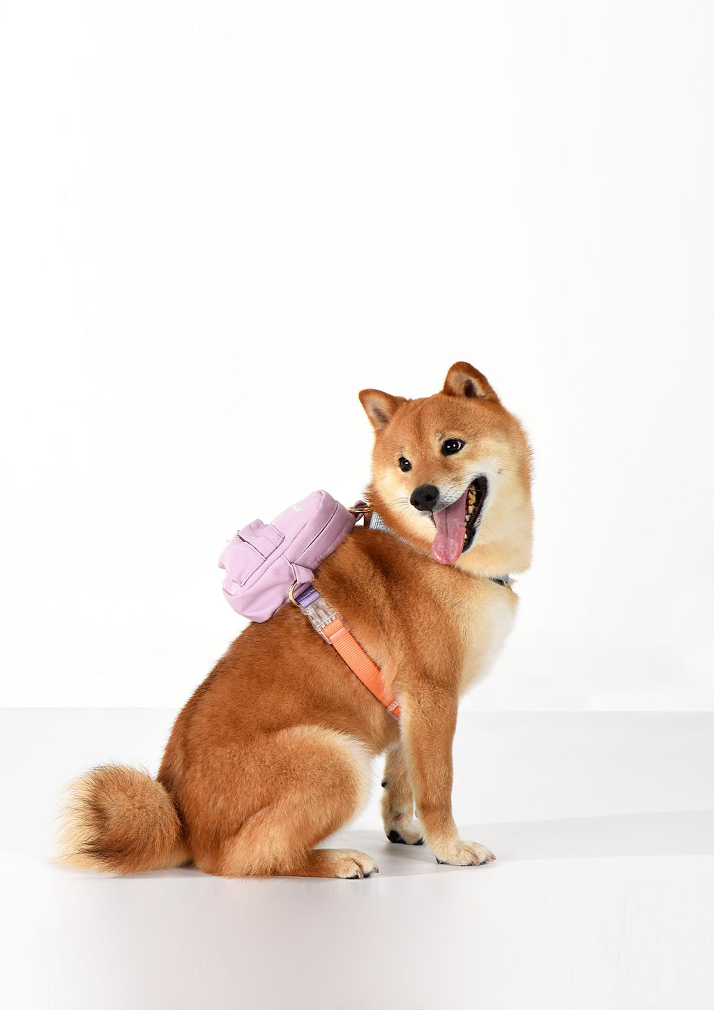 The Backpack