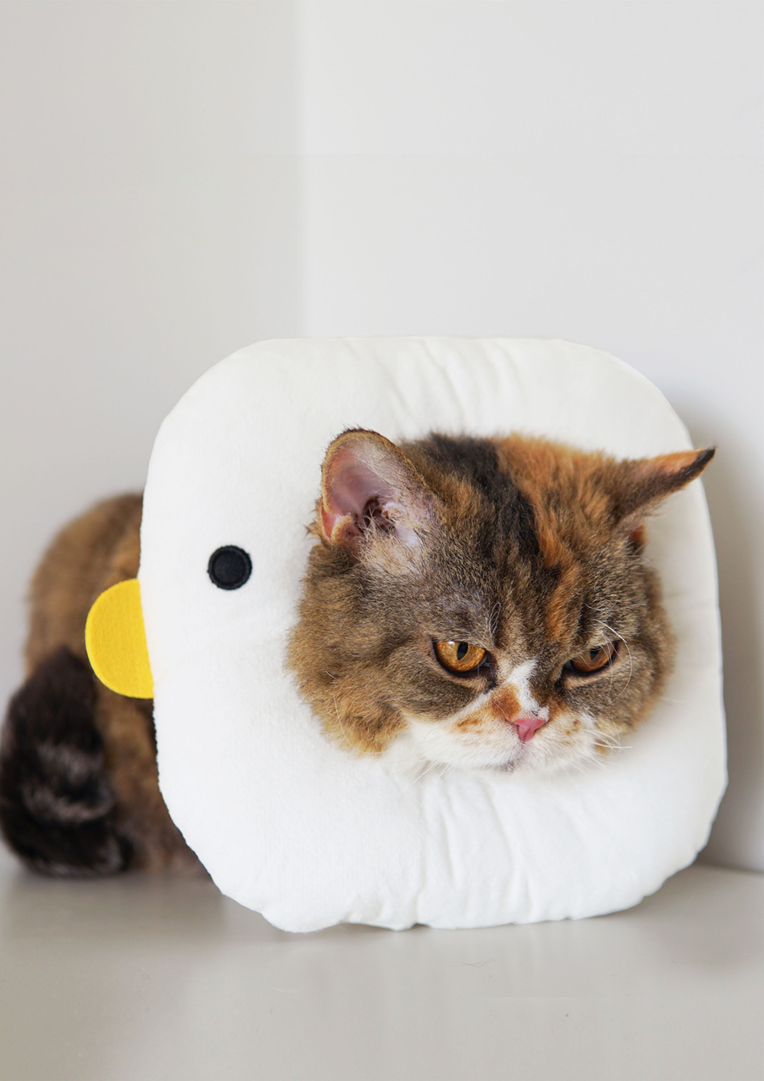 Chicky Cone