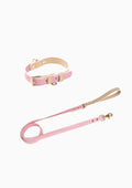 CURIO Collar & Leash Set (Pink)