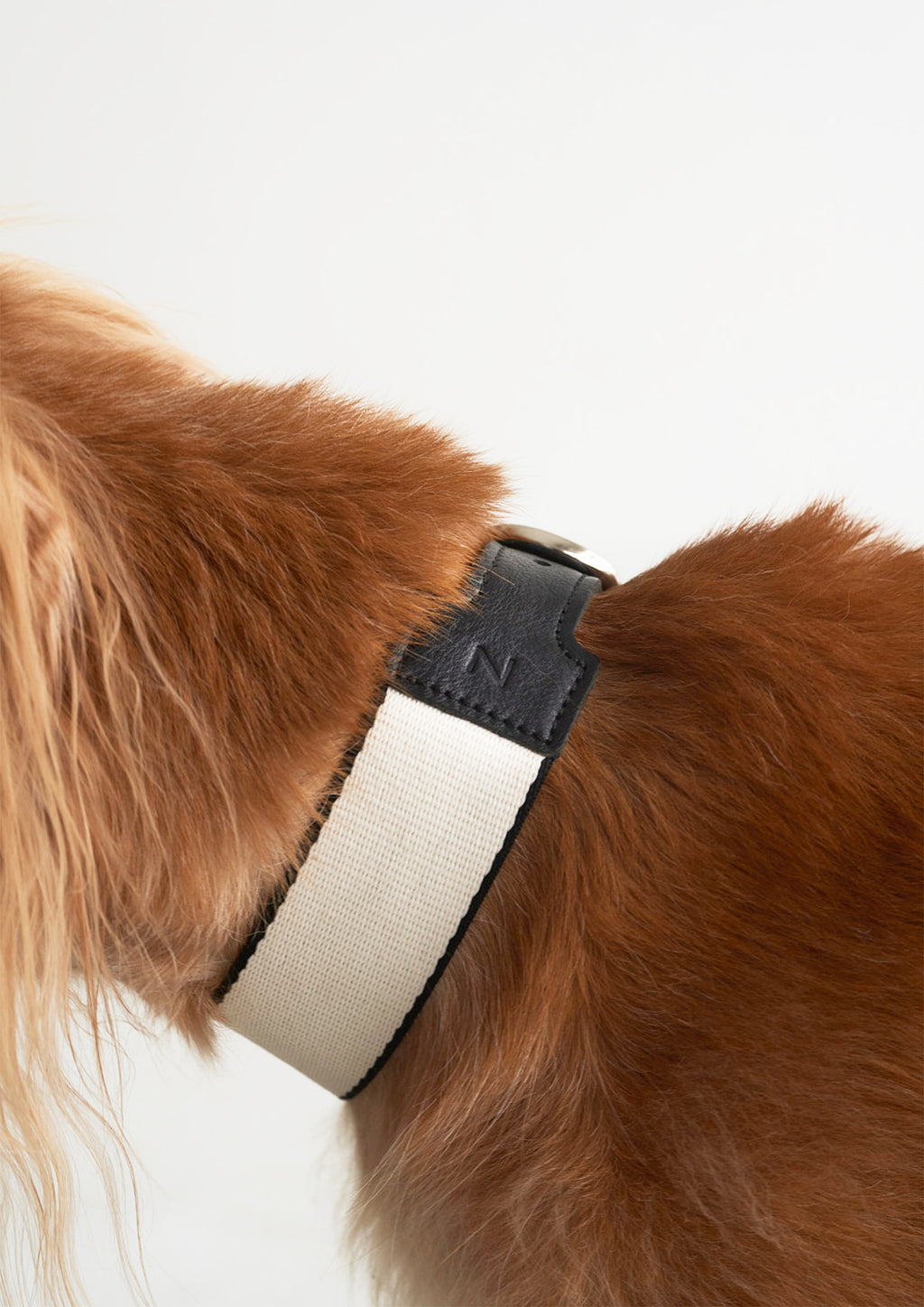 BREIT Collar
