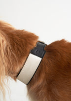 BREIT Collar