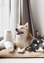 O BREUER Squeaker + Crinkle Tetrapod