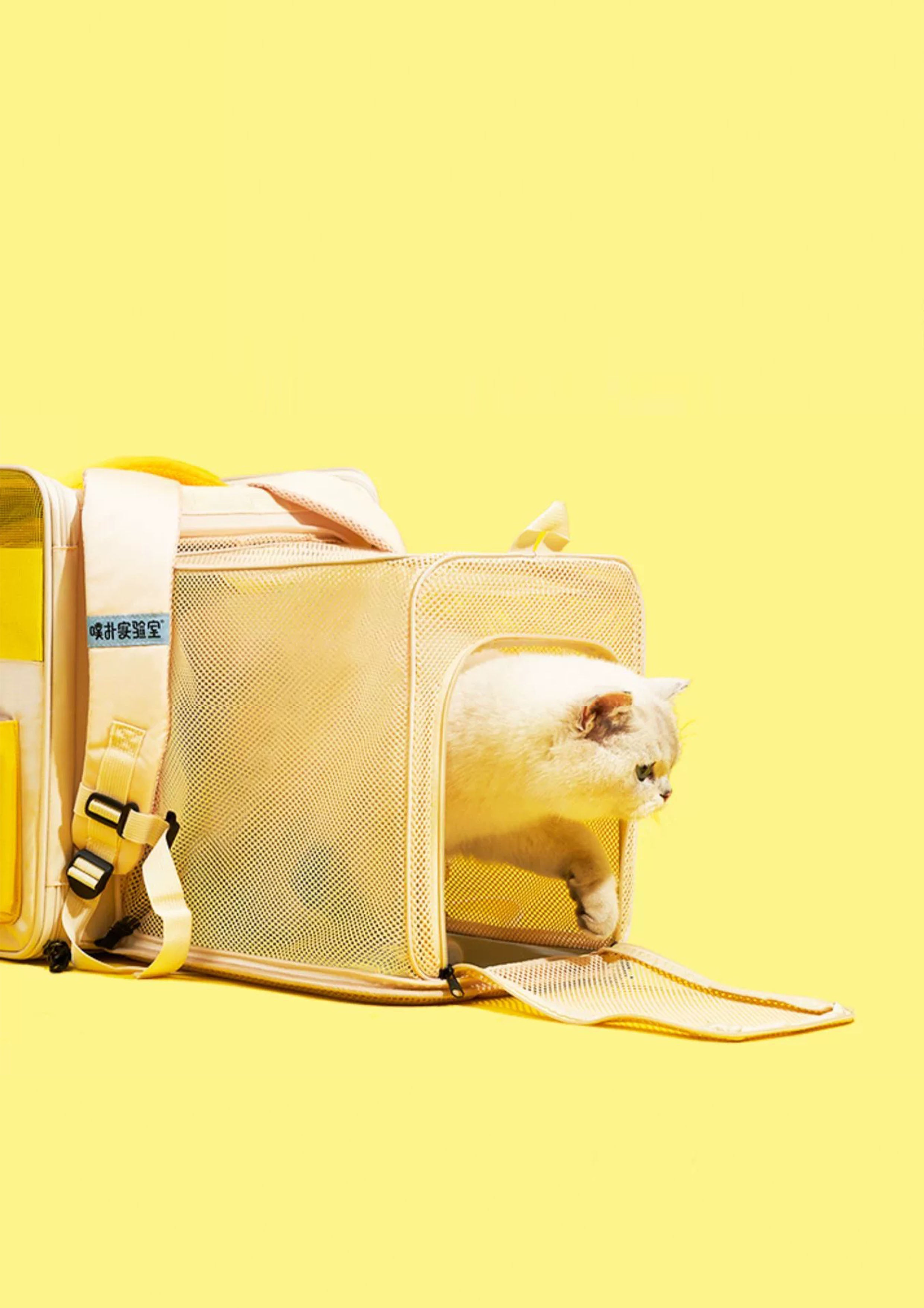 Game Boy Carrier
