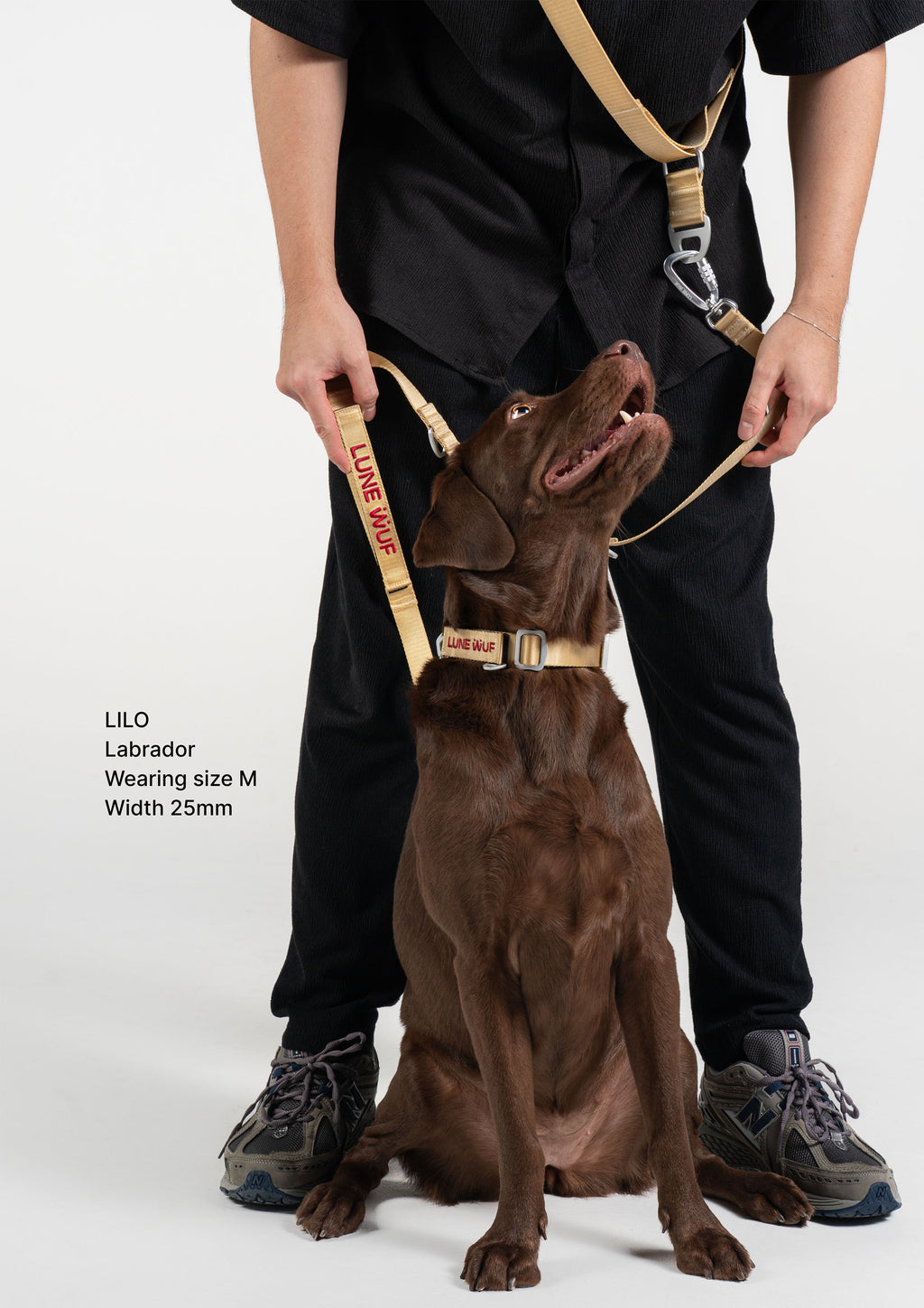 Buckle Martingale (Sand Dune)