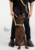 Buckle Martingale (Sand Dune)