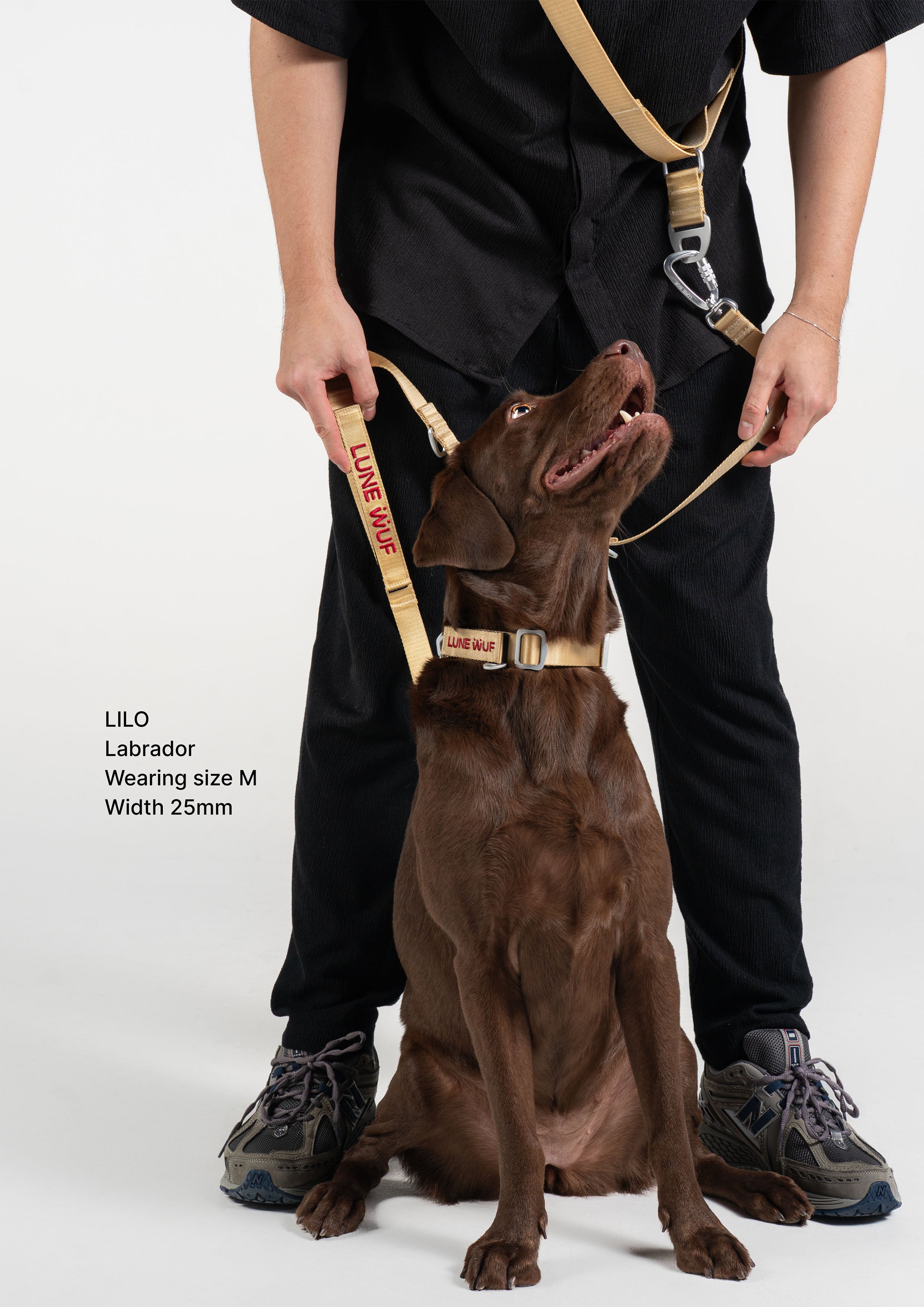 Buckle Martingale (Sand Dune)