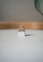 Pomeranian Prosopa Charm