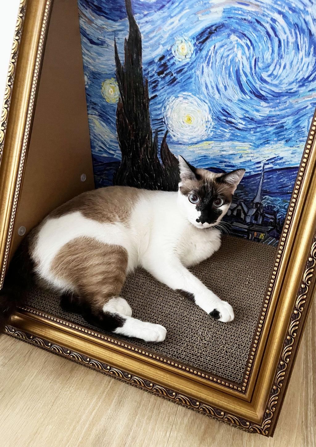 The Starry Night - 3D Art Scratcher