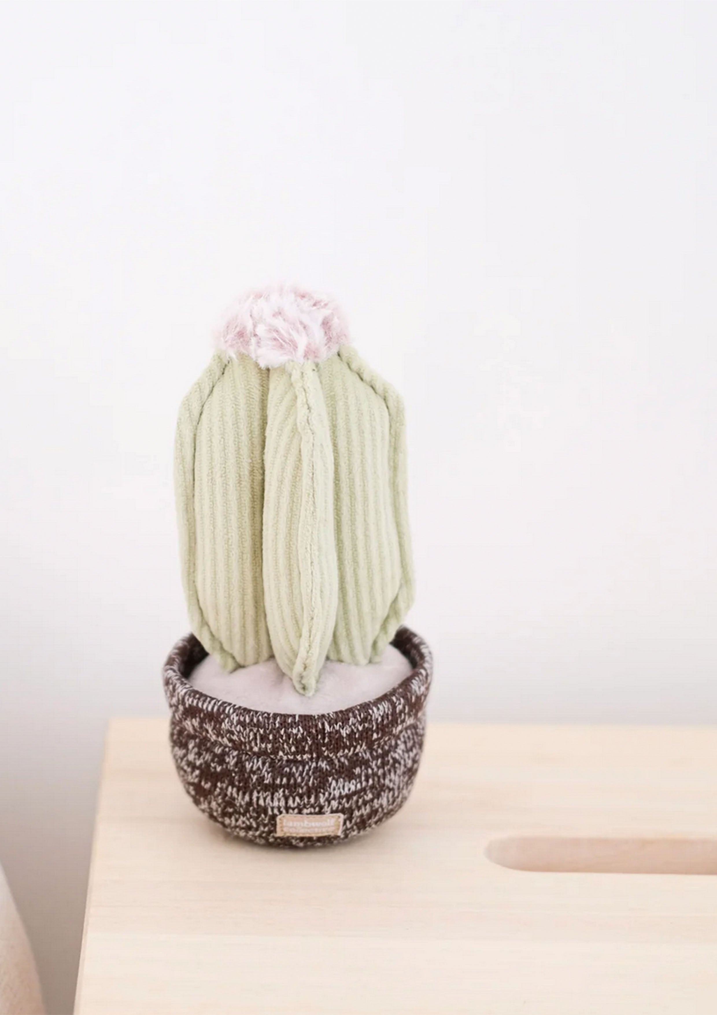 CACTUS Snuffle + Squeaky