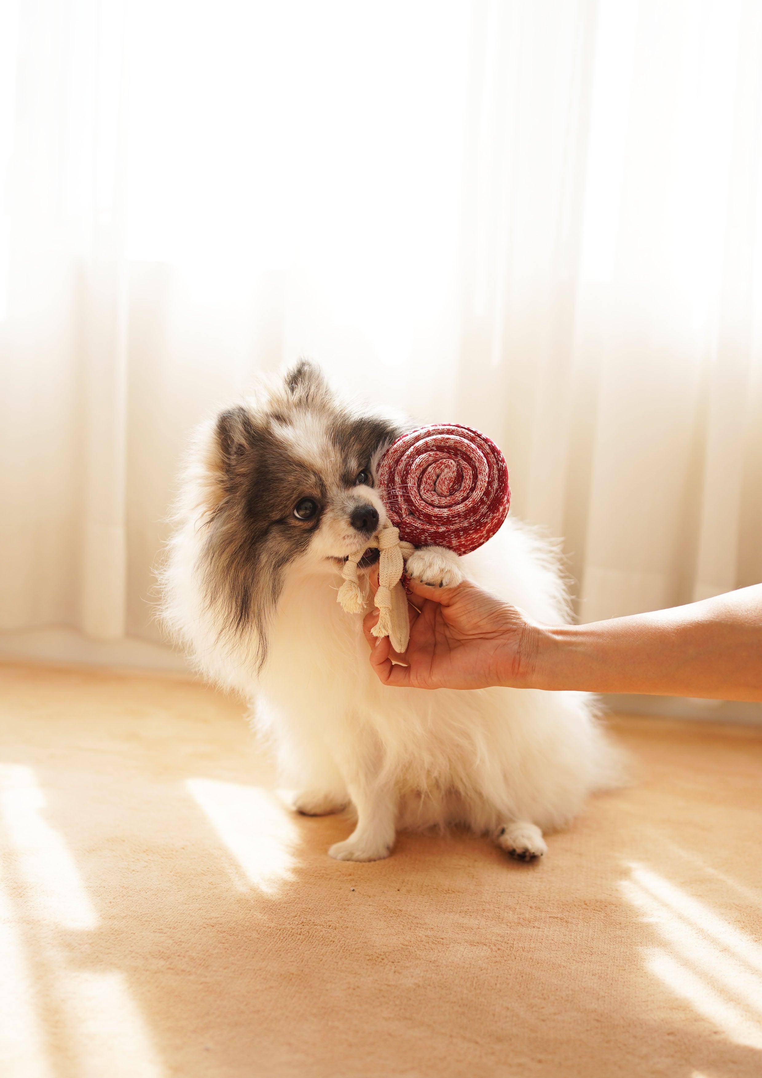 LOLLIPOP Snuffle