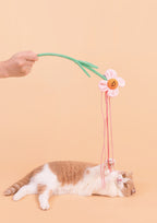 Ixora Cat Teaser with Catnip