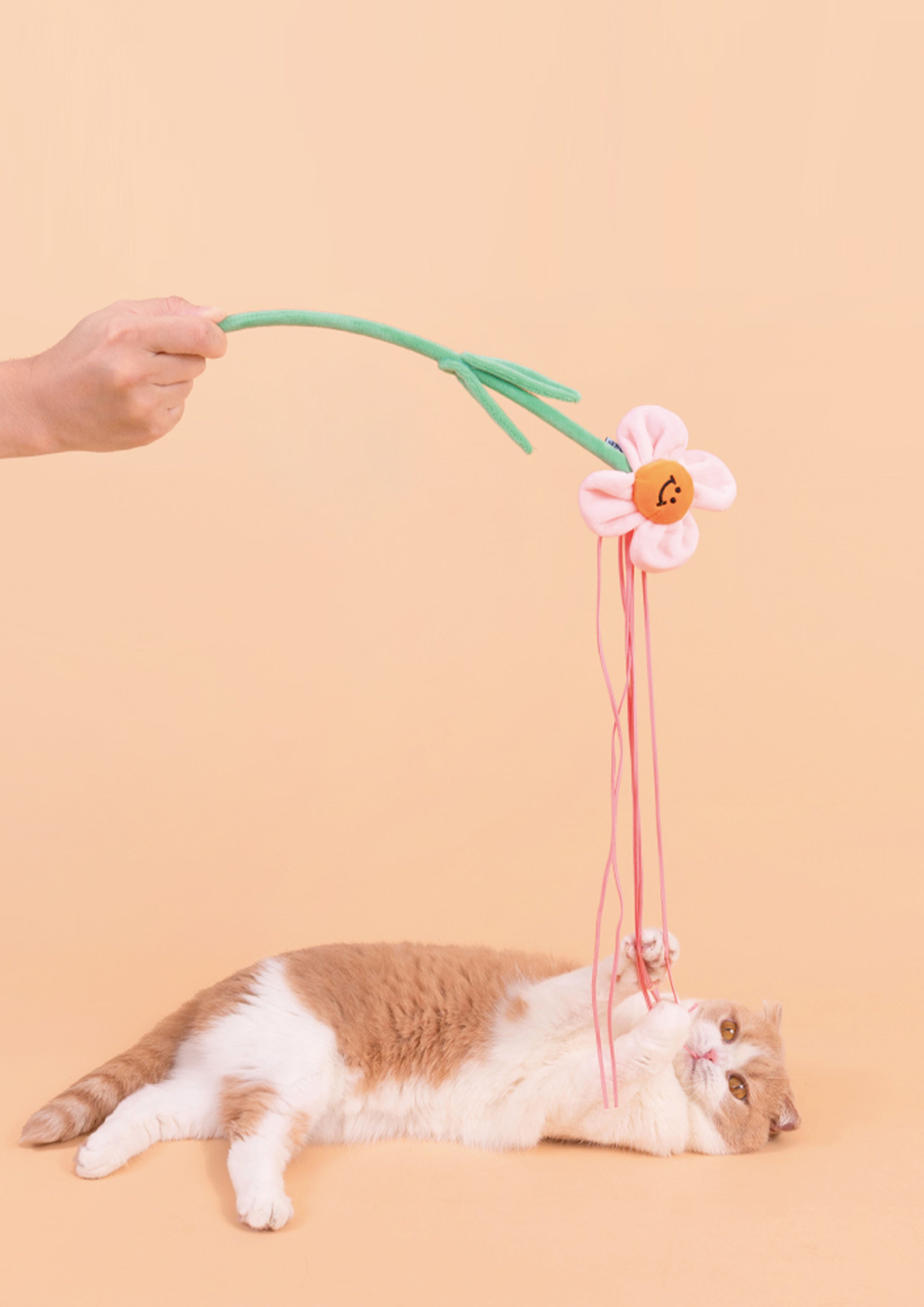Ixora Cat Teaser with Catnip