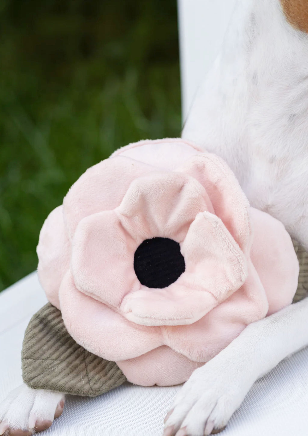 POPPY L Snuffle + Squeaky