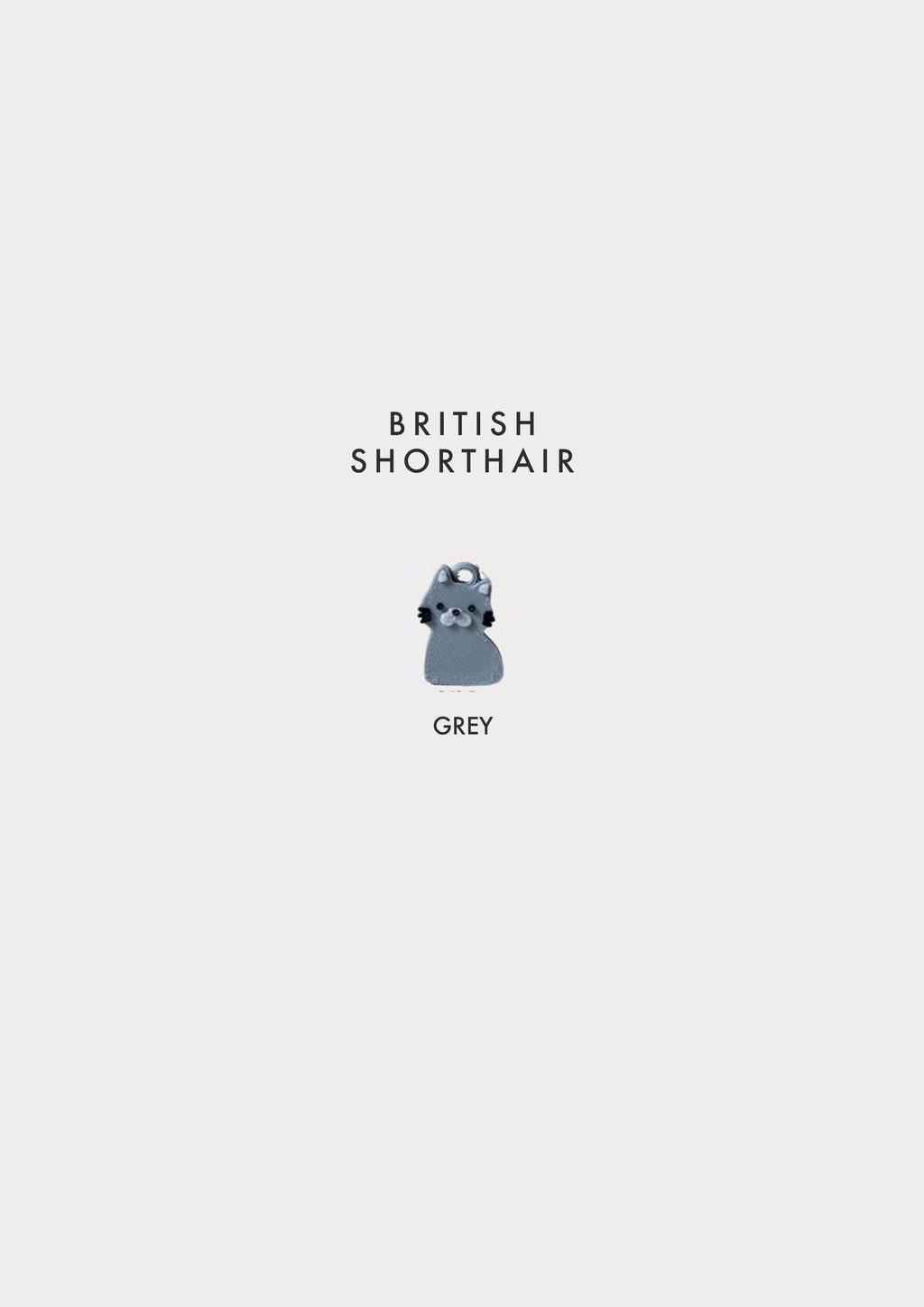 British Shorthair Prosopa Charm