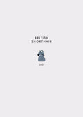 British Shorthair Prosopa Charm