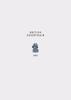 British Shorthair Prosopa Charm