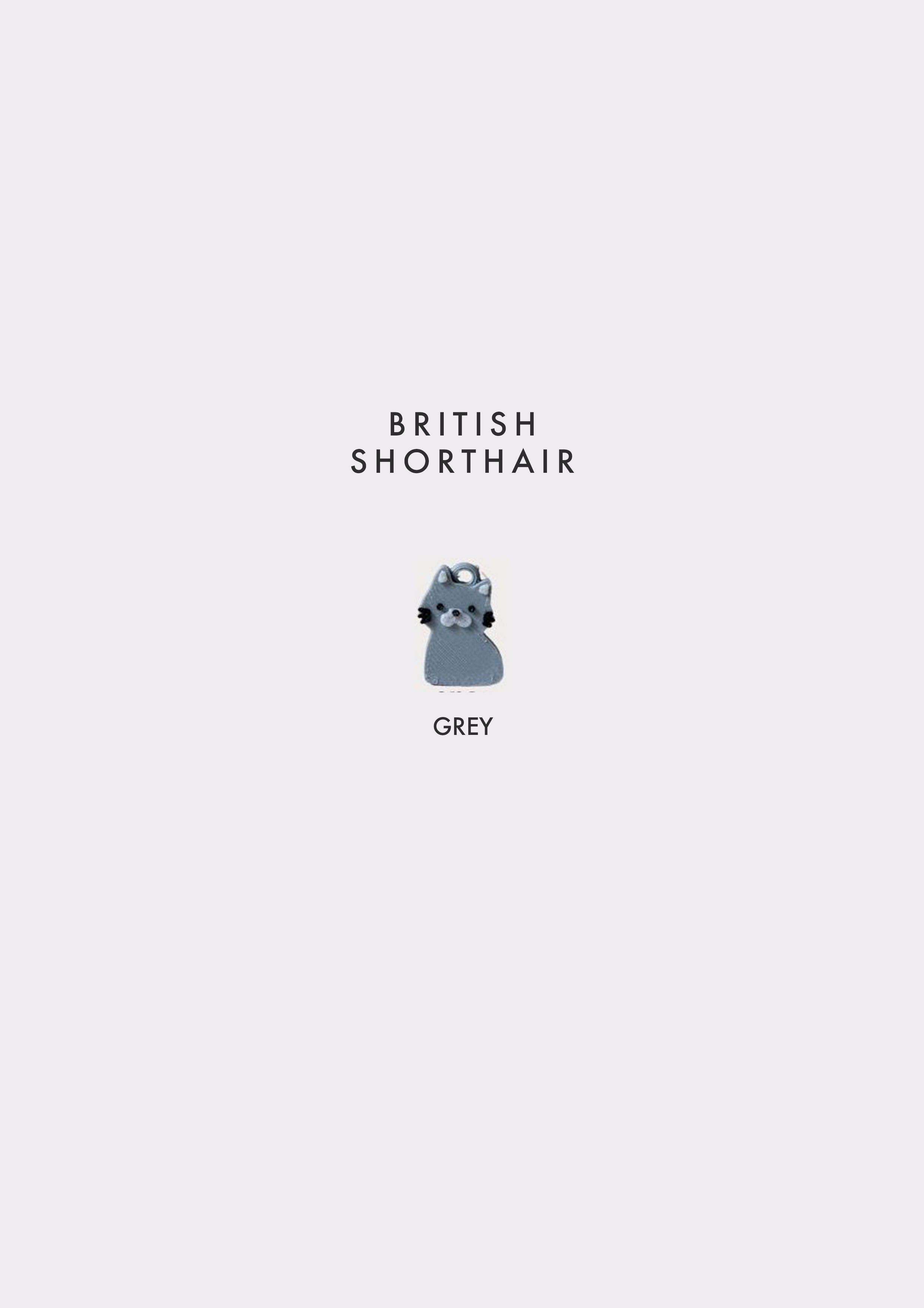 British Shorthair Prosopa Charm