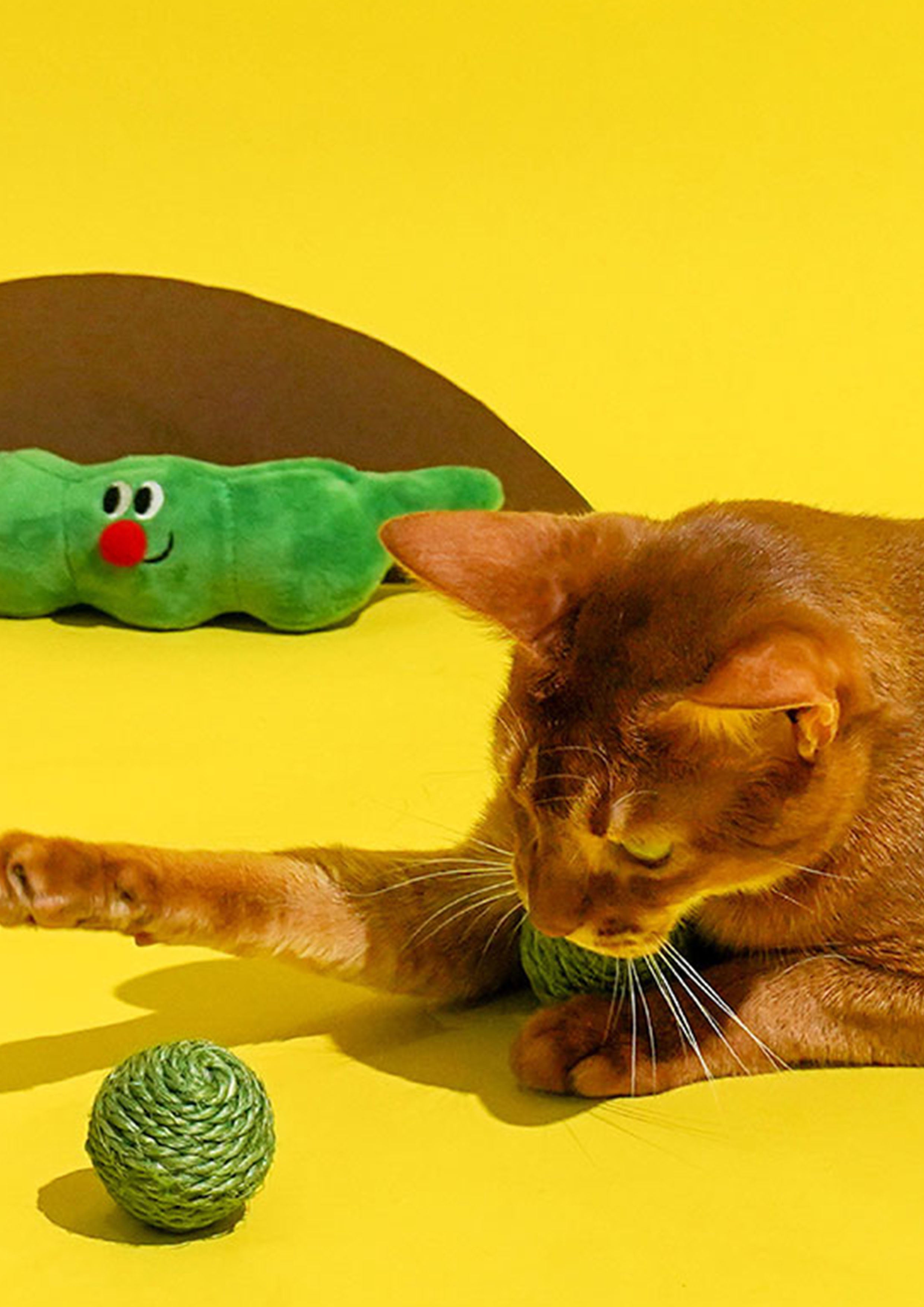 Green Pea Nosework Toy