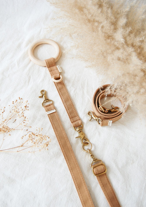 FJOL Multipurpose Leash (Isabella)