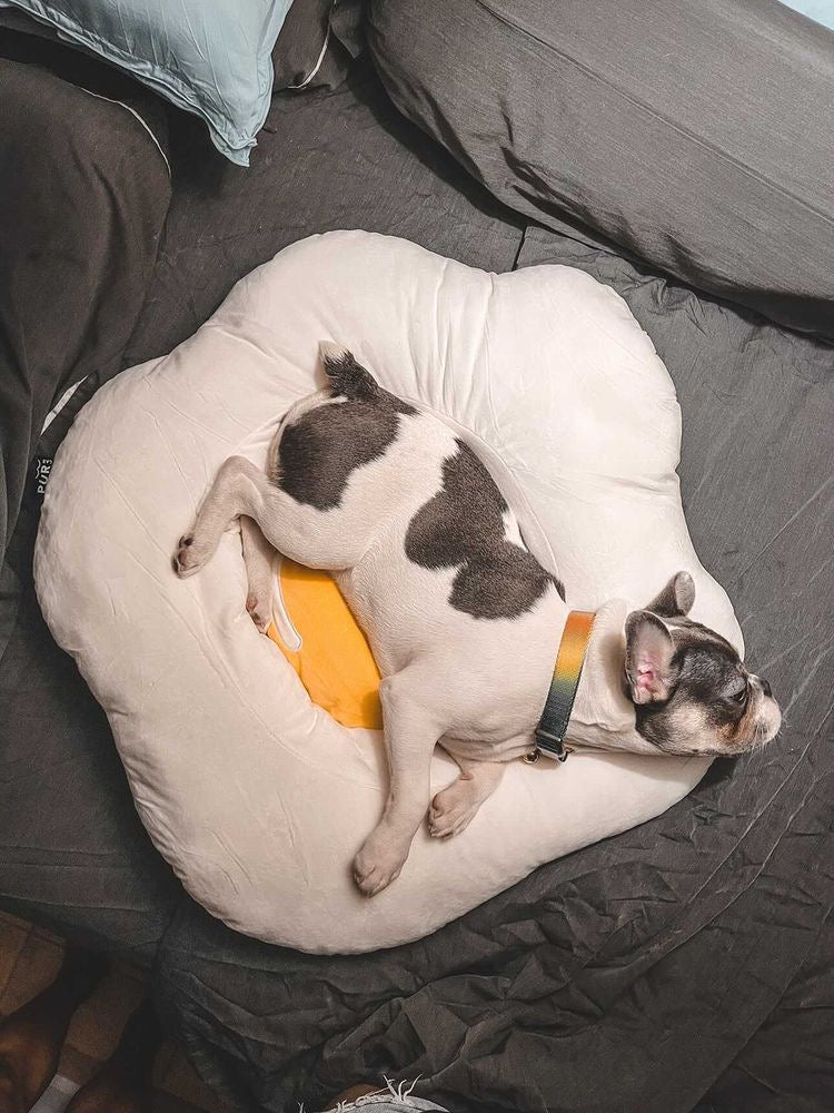 Egg Bed