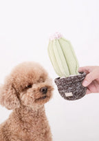 CACTUS Snuffle + Squeaky