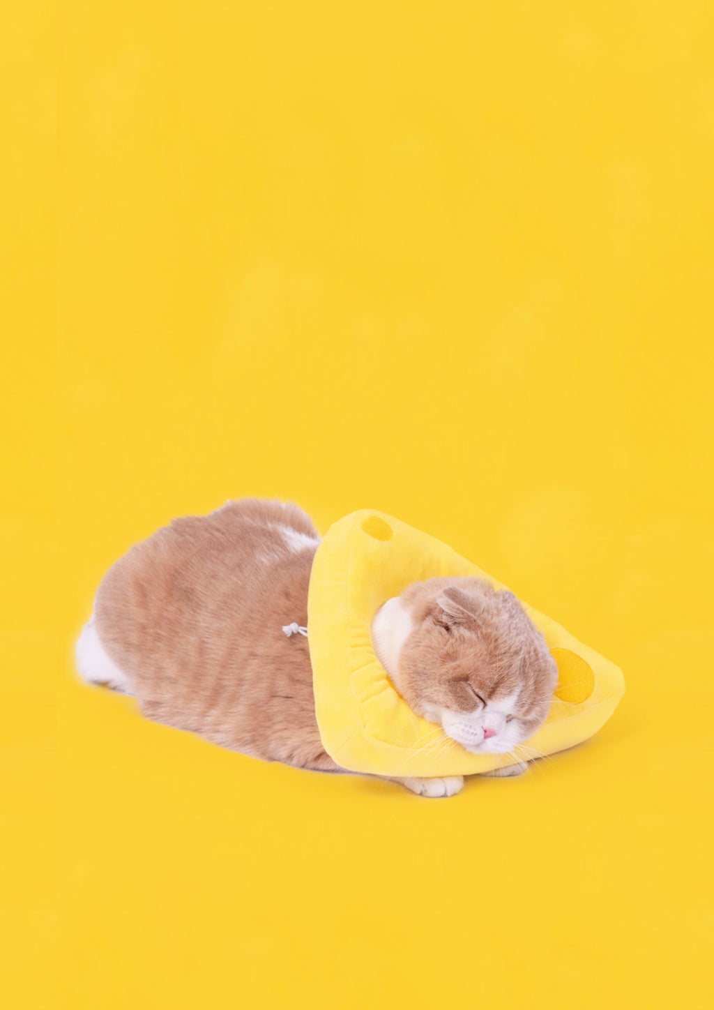 Cheese Cone