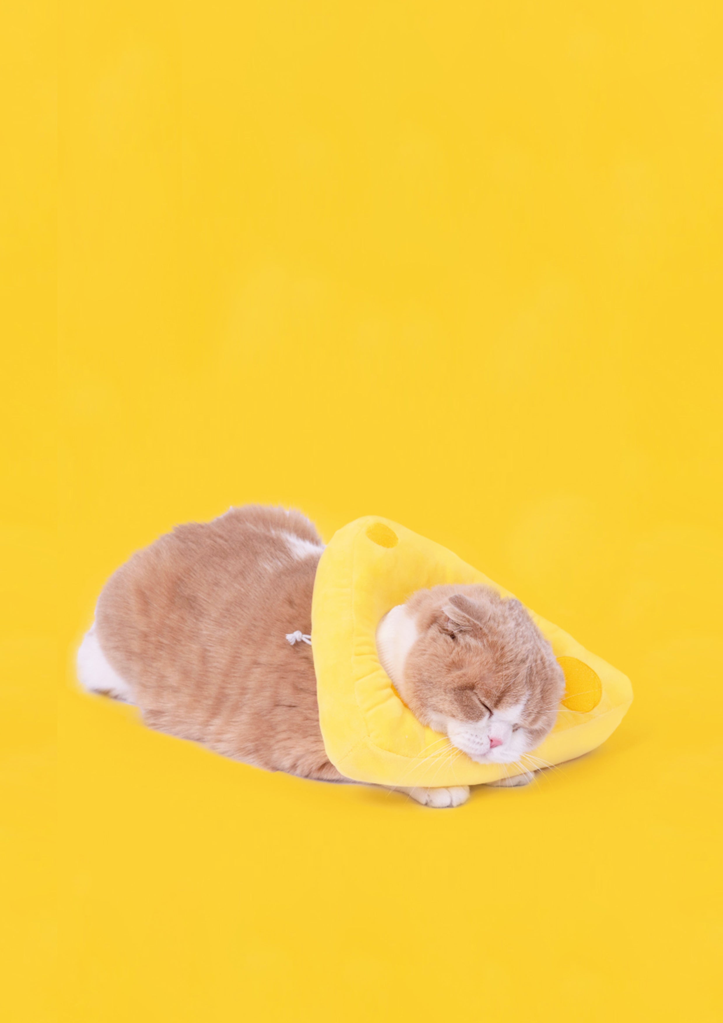 Cheese Cone