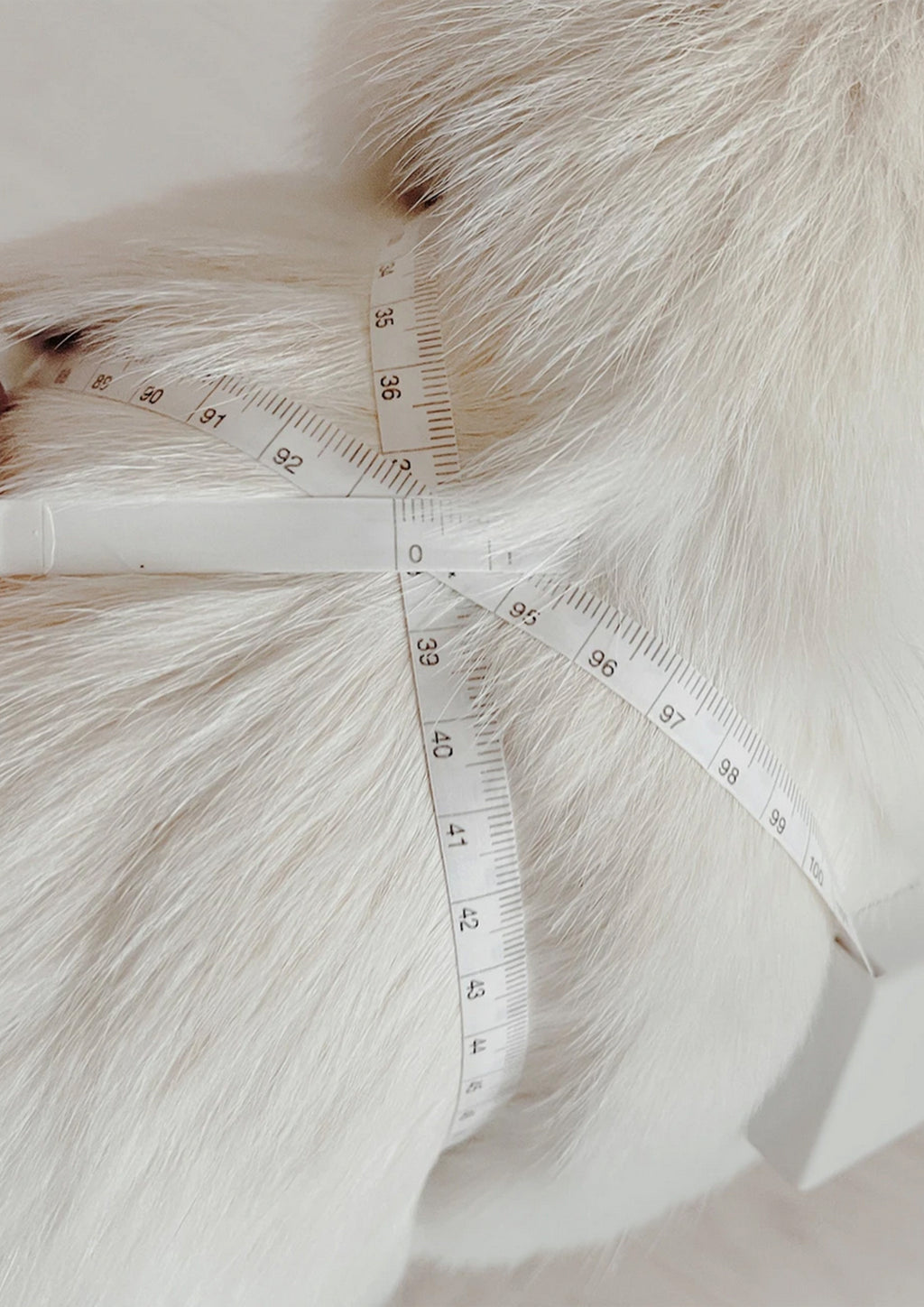 OTTO Figure 8 Harness