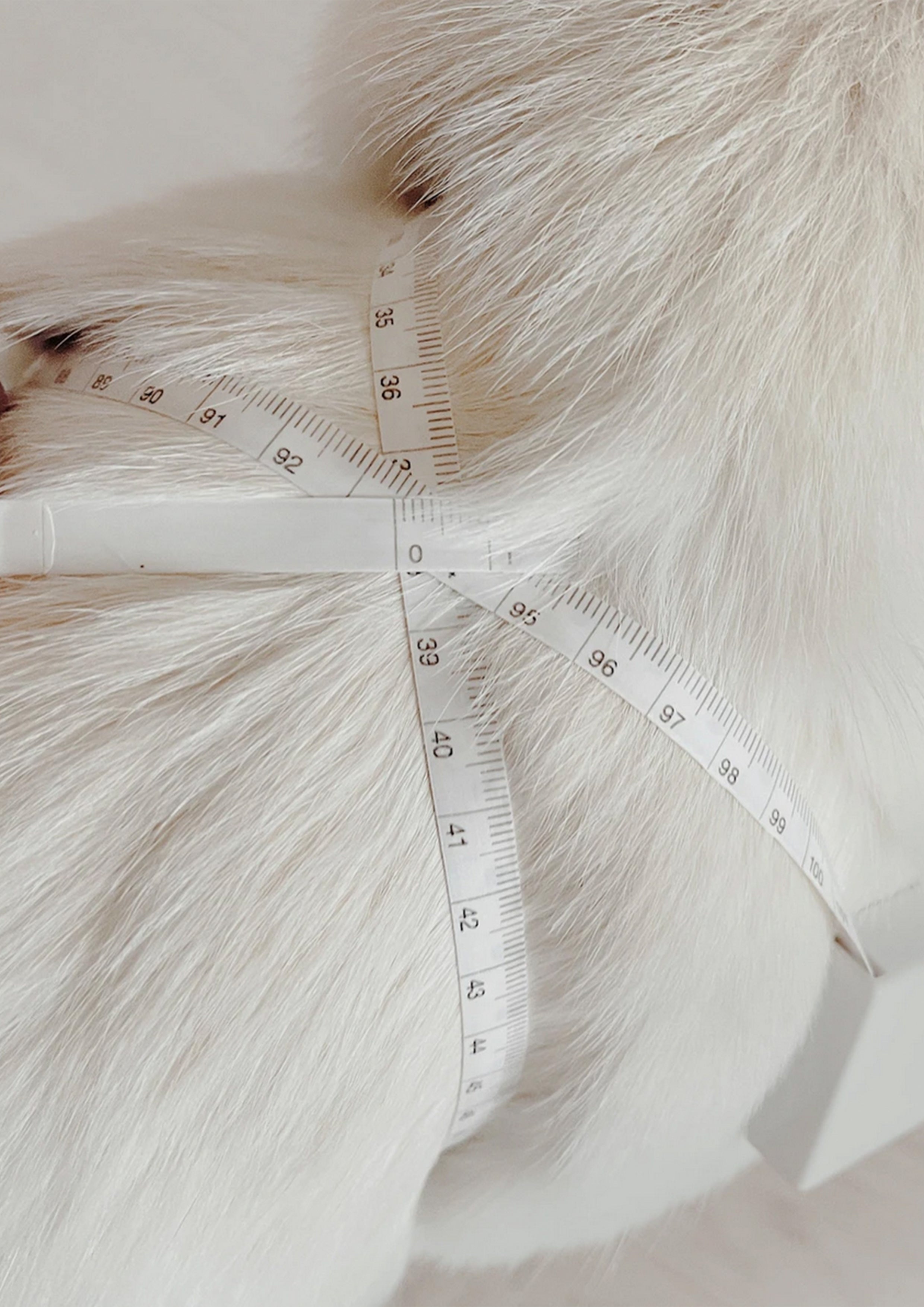 OTTO Figure 8 Harness