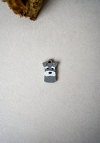 Schnauzer Prosopa Charm