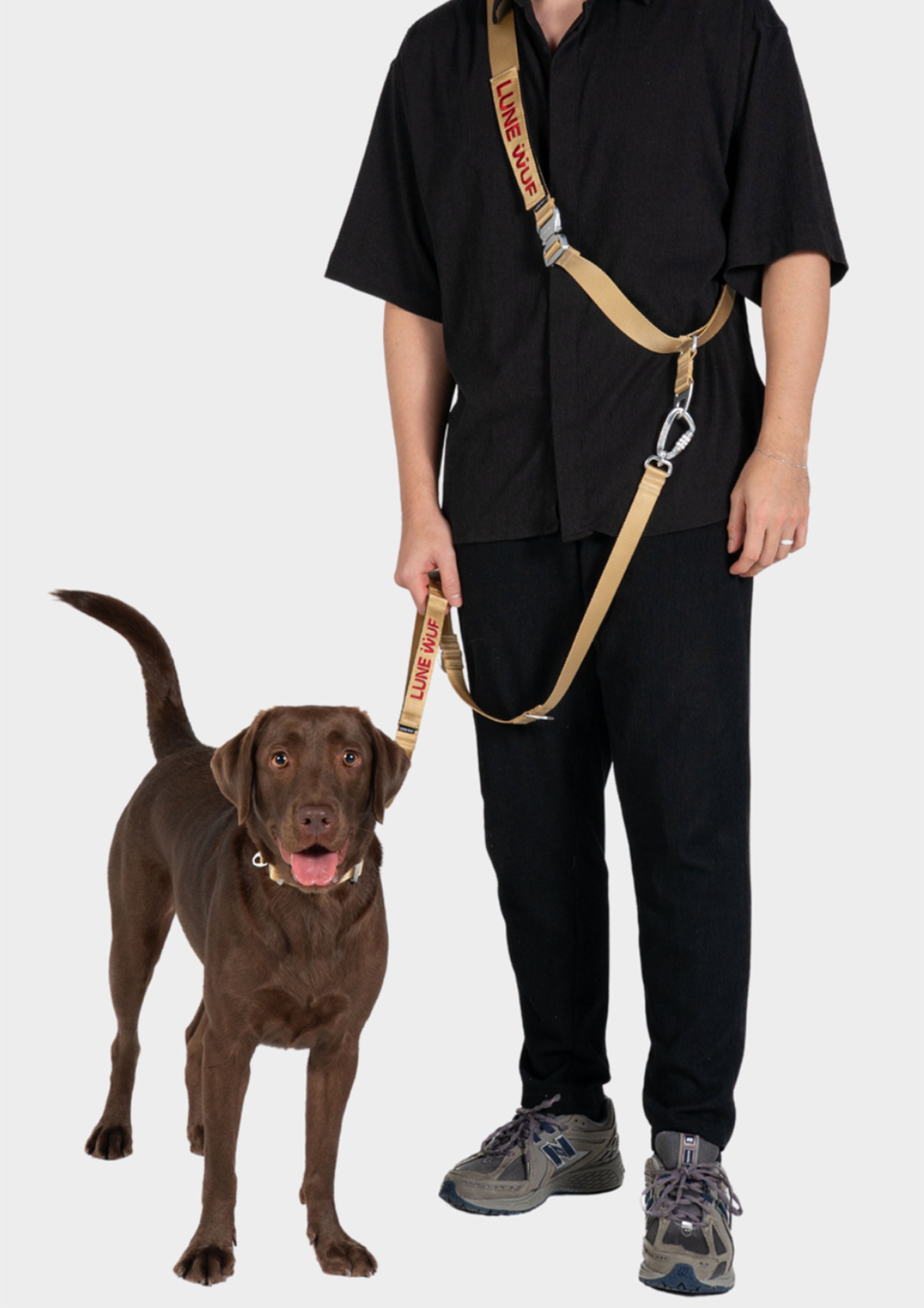 Handsfree Leash Set (Sand Dune)