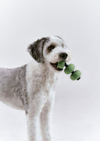 Dango (Olive Green)