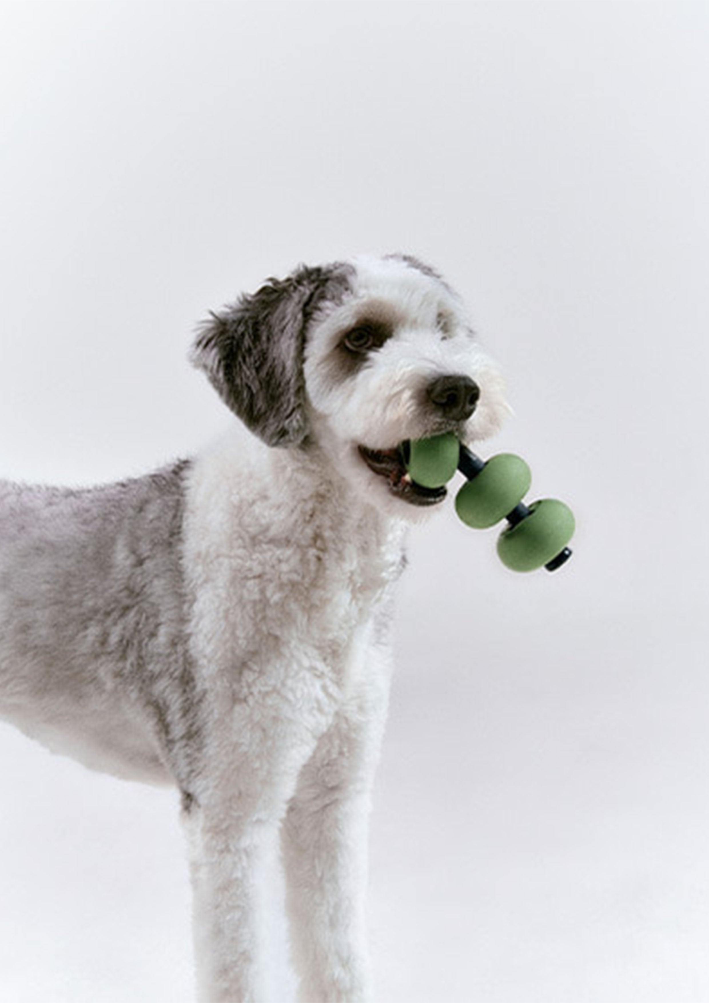 Dango (Olive Green)