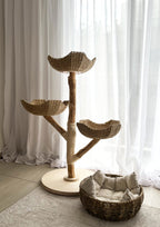 Litchi Cat Tree