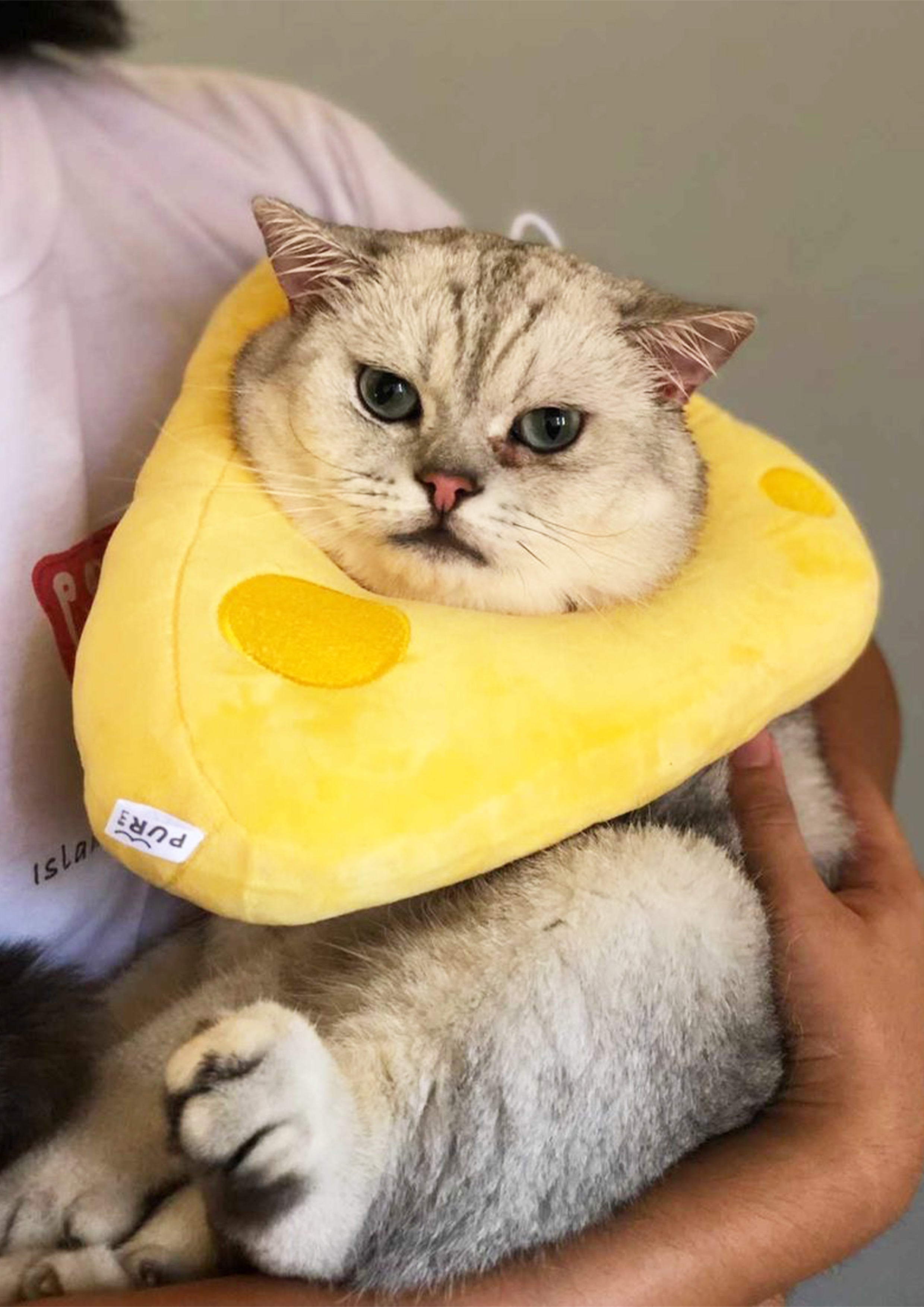 Cheese Cone