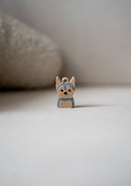 Yorkshire Terrier Prosopa Charm