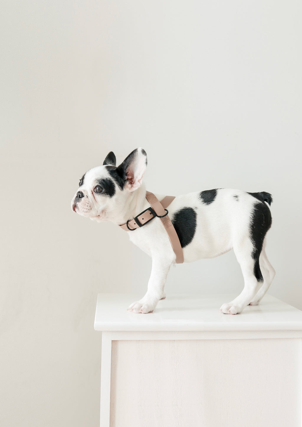 OTTO Figure 8 Harness